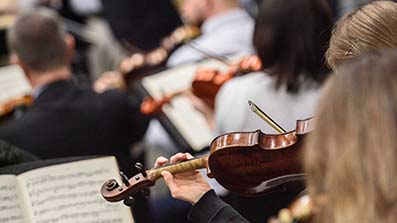 Violin section of an orchestra with sheet music Violin section of an orchestra with sheet music