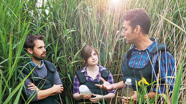 Environmental science researcher and students sampling in a reed bed