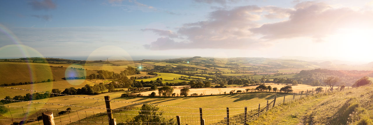 Improving the quality of the air we breathe - UWE Bristol: Research