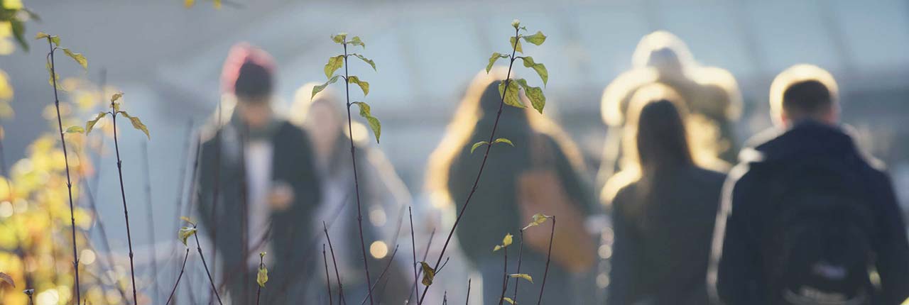 Students walking across campus in morning fog