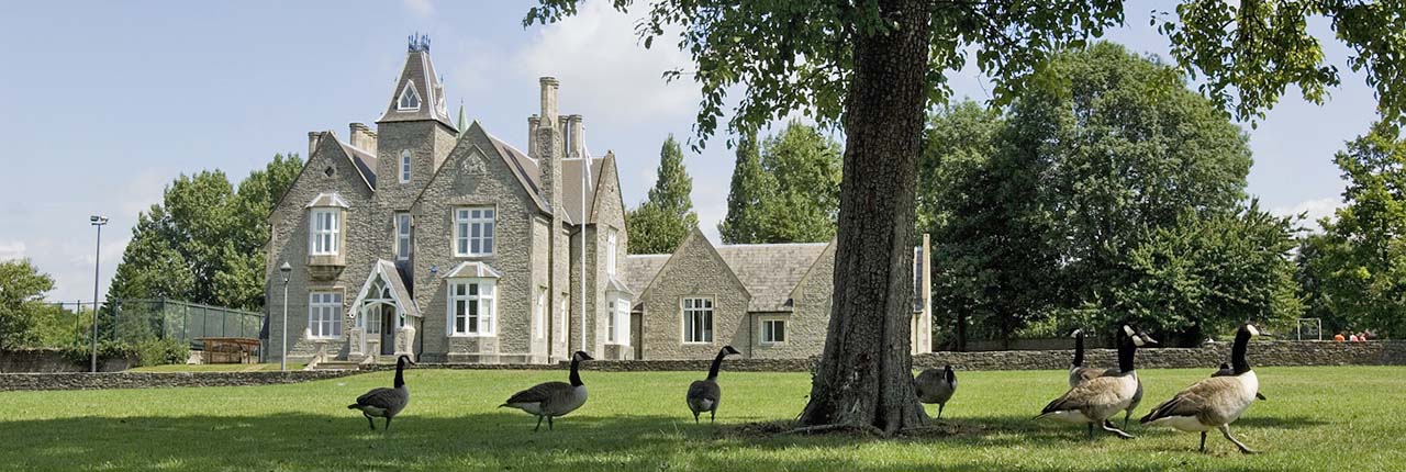 Geese in front of Wallscourt Farm on a sunny day